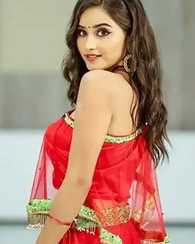 Call Girls Service Vilathikulam